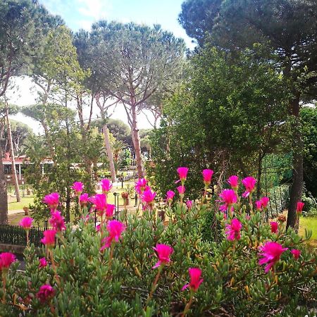 Casa Margherita Affittacamere B&B ฟอลลอนนีกา ภายนอก รูปภาพ
