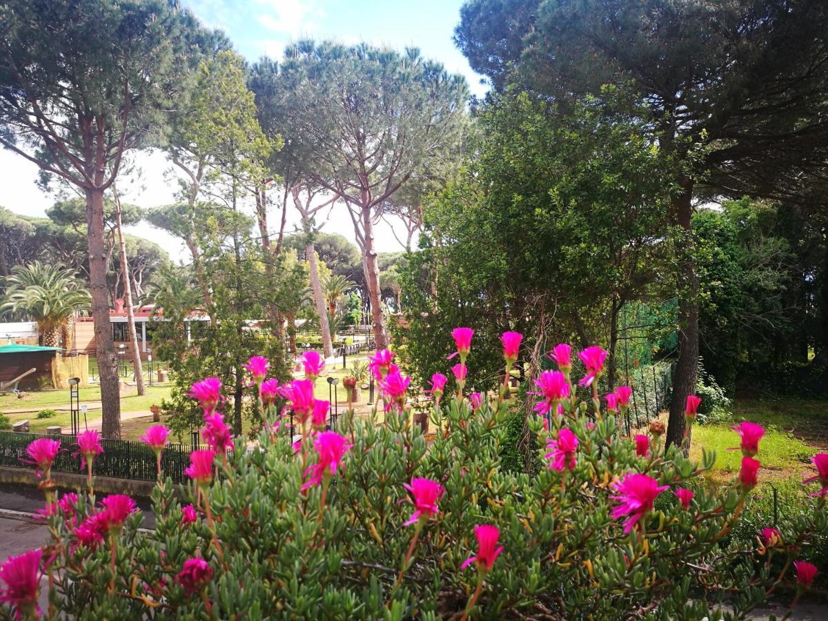 Casa Margherita Affittacamere B&B ฟอลลอนนีกา ภายนอก รูปภาพ